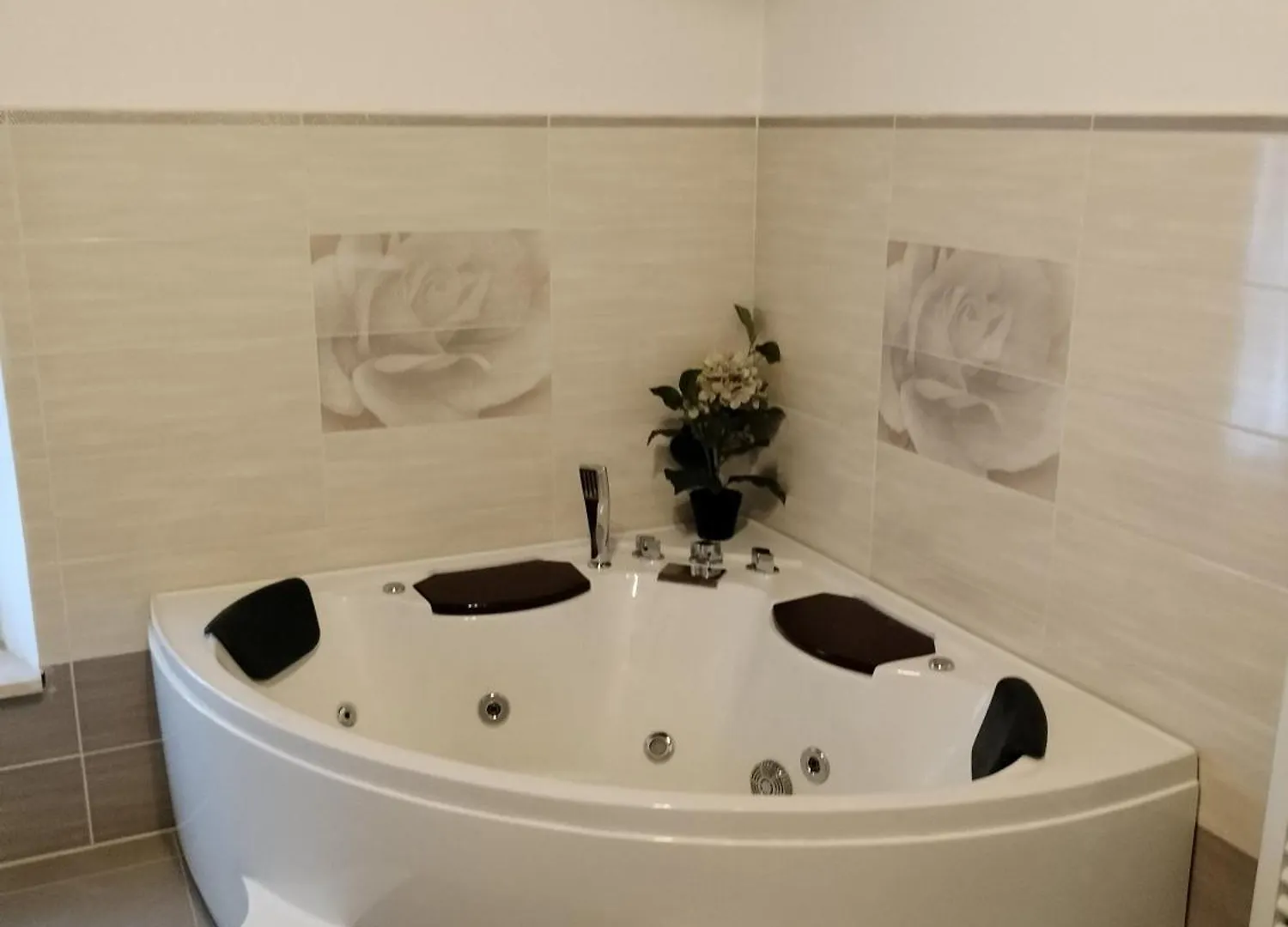 B&B La Rosa Nel Verde Lukka 0*,  Włochy